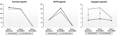 Vasopressin Surrogate Marker Copeptin as a Potential Novel Endocrine Biomarker for Antidepressant Treatment Response in Major Depression: A Pilot Study